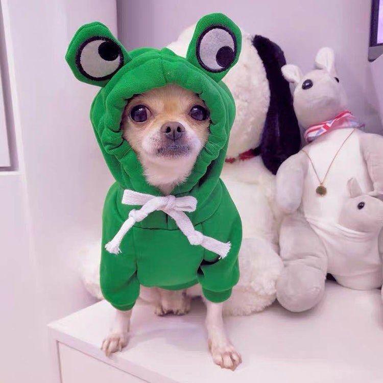 Luxury Green Fleece Dog Hoodie - Stylish Two-Legged Outfit For Autumn And Winter-9