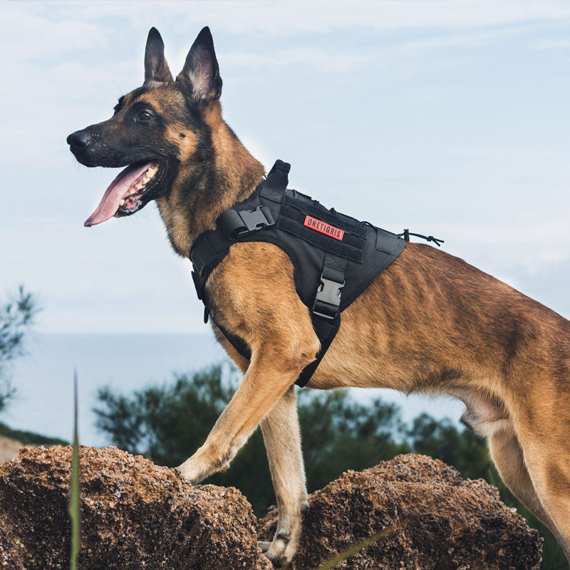 OneTigris Dog Harness Vest-0