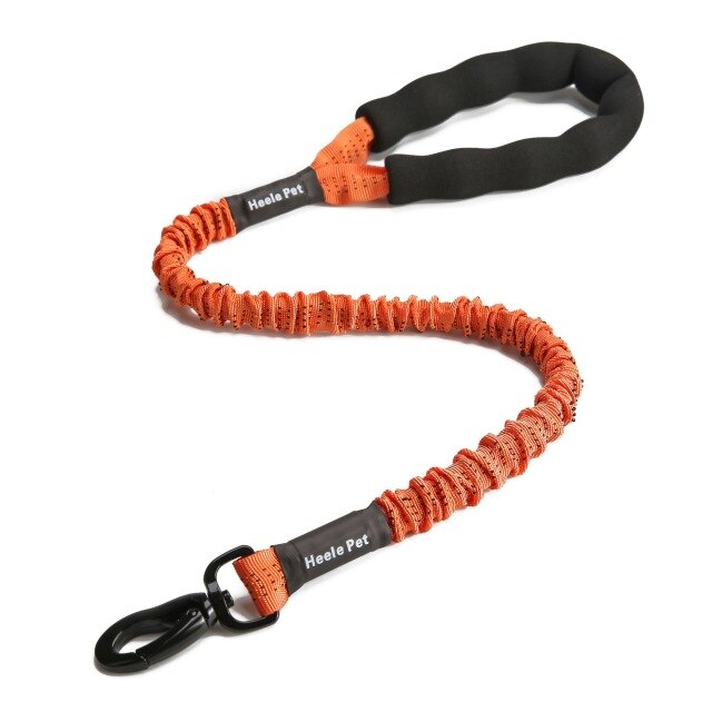 Nylon Pet Dog Leash Collar Durable Traction Rope Outdoor Pet Walking Lead Leashes for Large Dogs Cats Pets Training Supplies-5