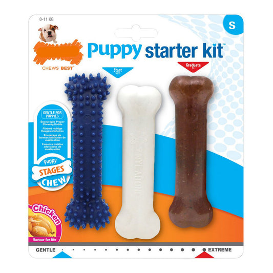 Dog chewing toy Nylabone Extreme Chew Starter Kit Puppies Chicken Nylon Thermoplastic (3 pcs)-0