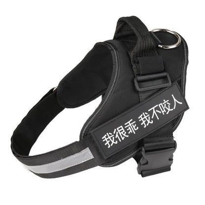Ultimate Pet Adventure Chest Harness And Leash Set-1