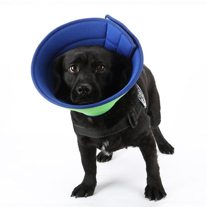 Pet Recovery Shield: Transparent Anti-Bite Collar For Dogs And Cats-0