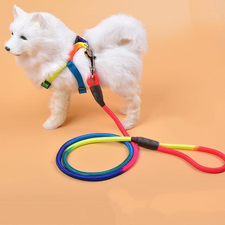 Vibrant Nylon Round Handheld Dog Rope - Stylish Pet Leash-0