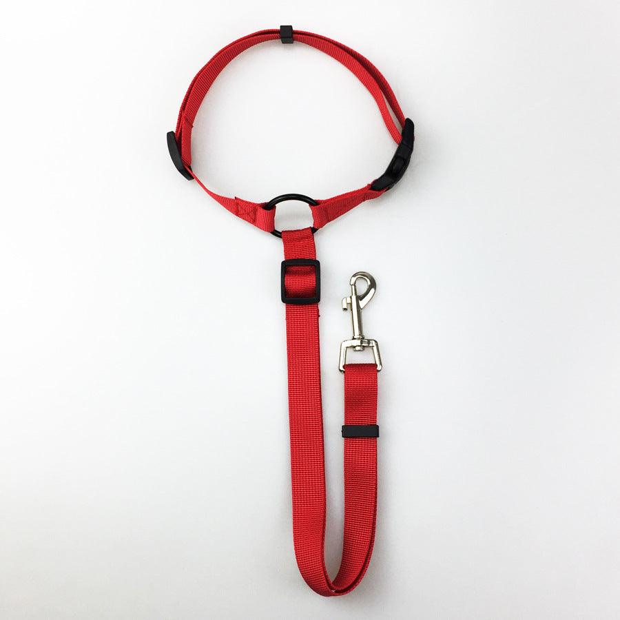 Secureflex Pet Safety Leash-8