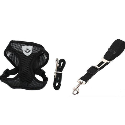 Pet Comfort Ride Leash And Seat Belt Combo-3