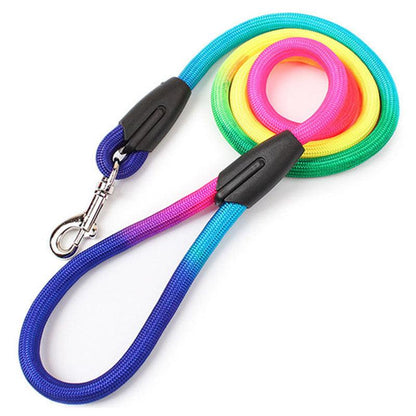 Vibrant Nylon Round Handheld Dog Rope - Stylish Pet Leash-1