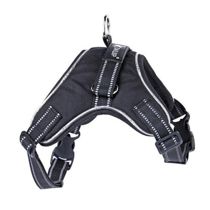 Luminous Canine Collar-6