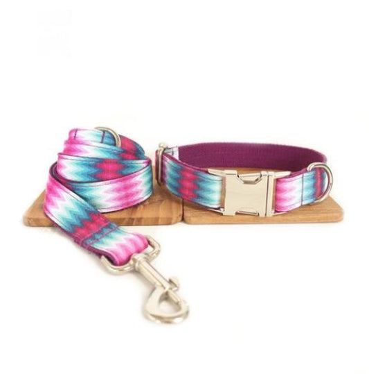 Vibrant Ribbon Traction Set For Patterned Dog Collars-0