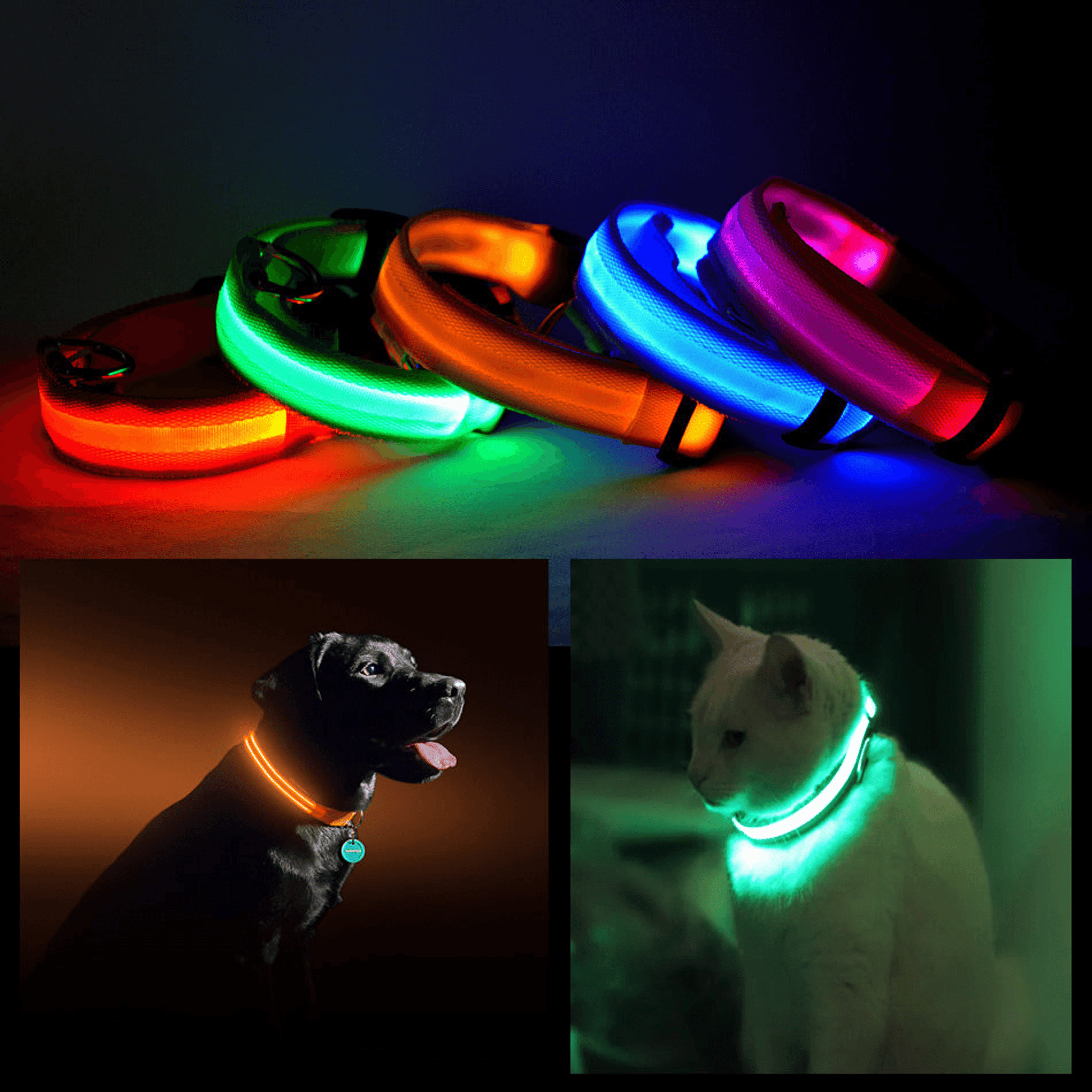 LED Safety Halo Collar for Pets-9