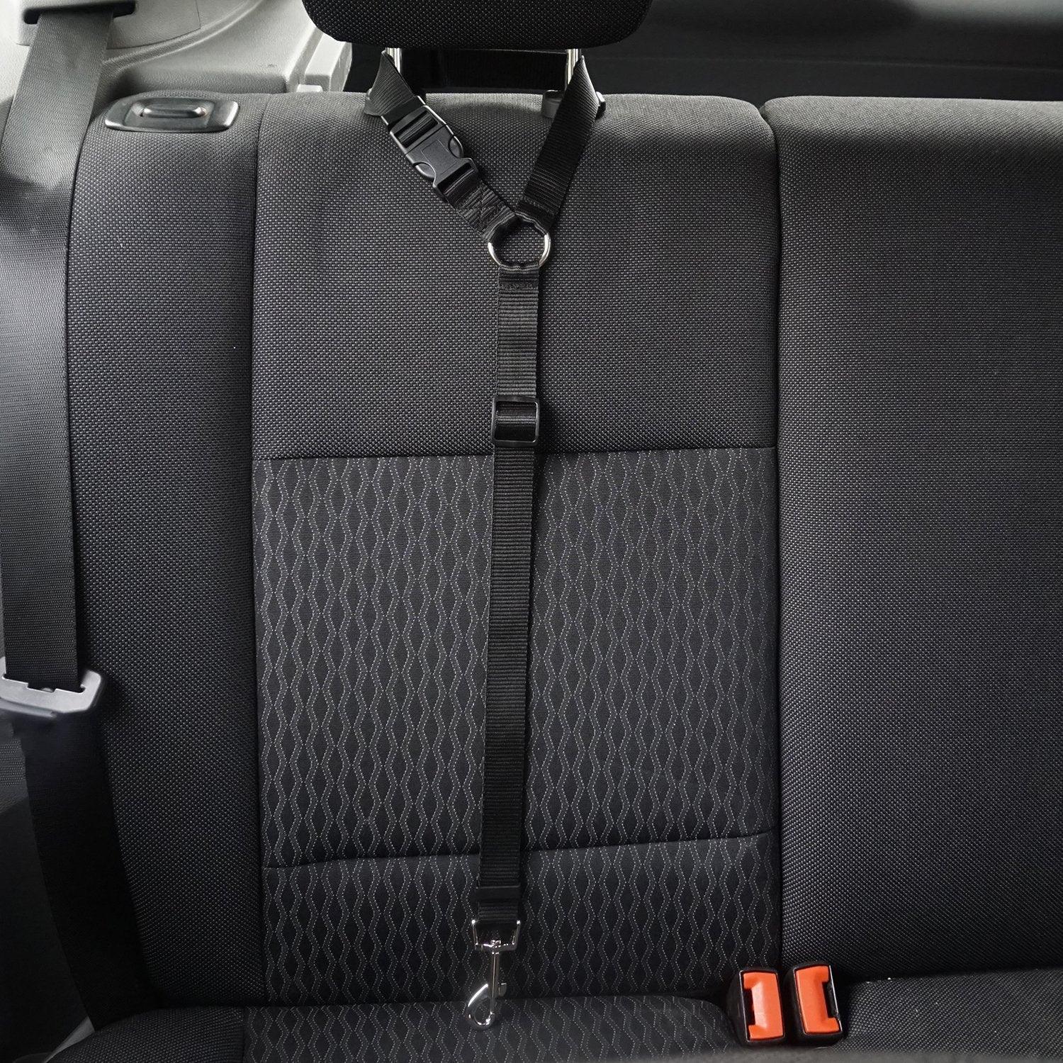 Secureflex Pet Safety Leash-2