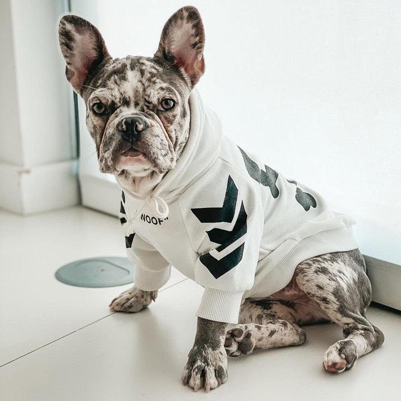 Winter Pup Parka-4