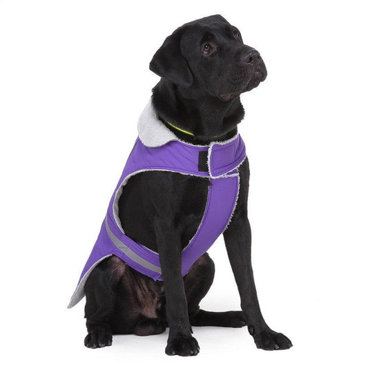 Night Glow Pet Winter Coat-0