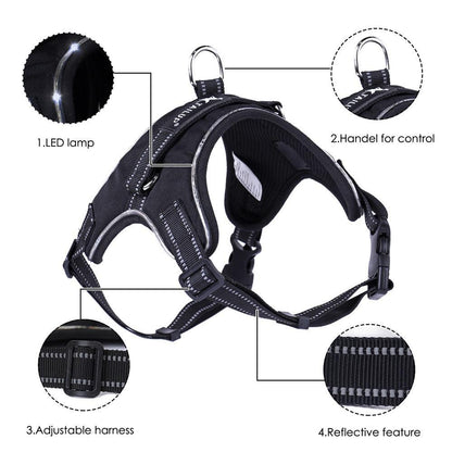 Luminous Canine Collar-4