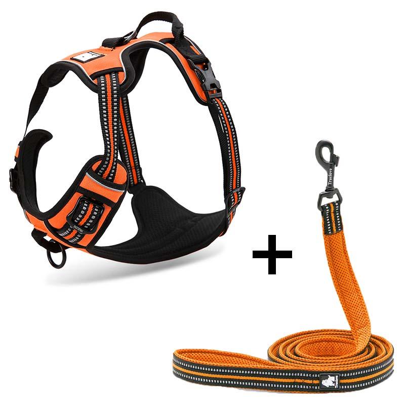 Ultimate Canine Comfort Harness-6