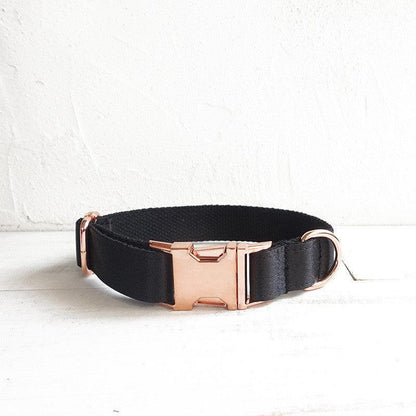 Midnight Shadow Dog Collar-2