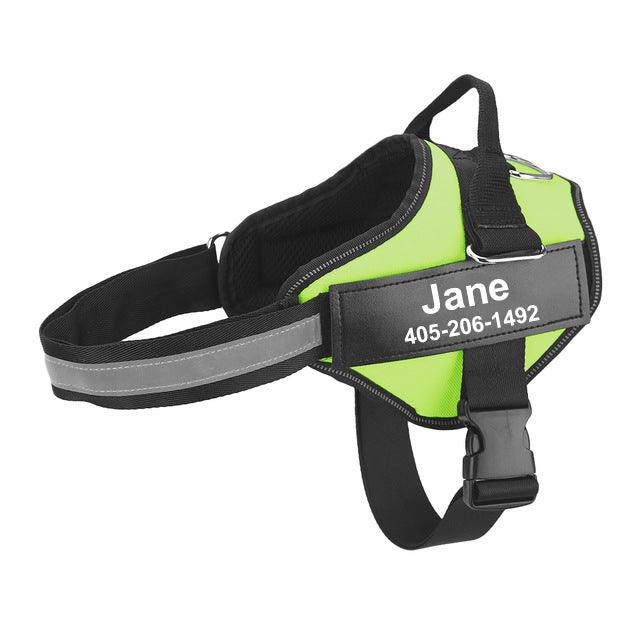Multicolor Customizable Pet Leash: The Perfect Fashion Accessory For Your Furry Friend-3