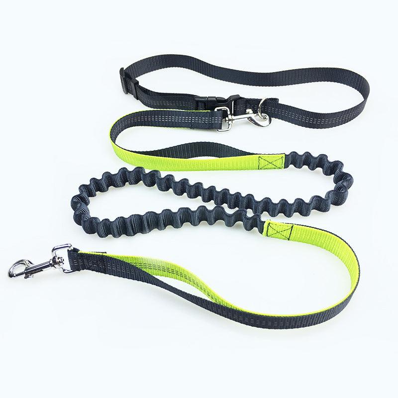 Ultimate Freedom Dog Leash: The Perfect Companion For Active Dogs-0