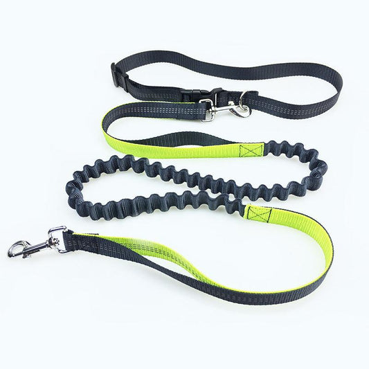 Ultimate Freedom Dog Leash: The Perfect Companion For Active Dogs-0