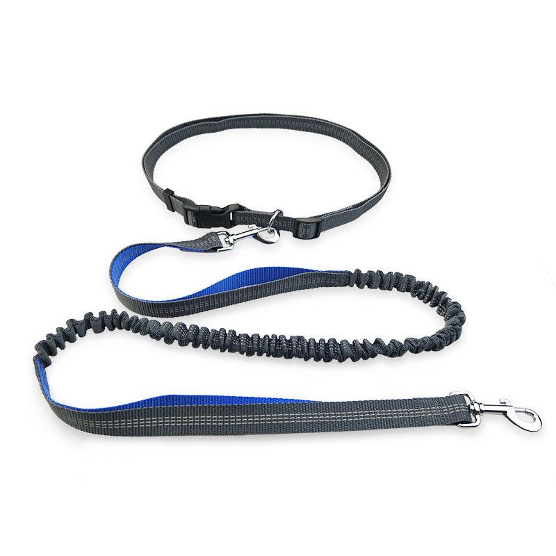Ultimate Freedom Dog Leash: The Perfect Companion For Active Dogs-1