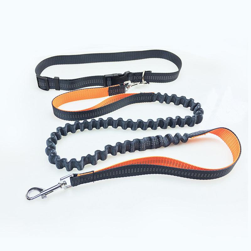 Ultimate Freedom Dog Leash: The Perfect Companion For Active Dogs-4