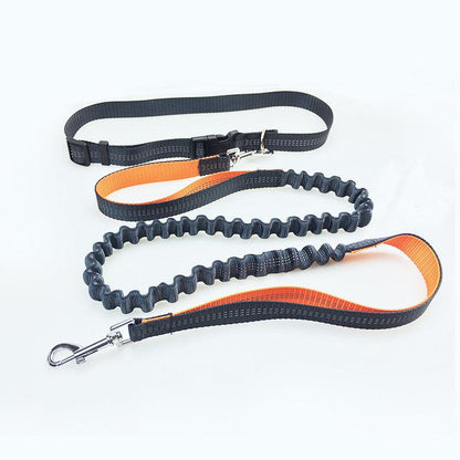 Ultimate Freedom Dog Leash: The Perfect Companion For Active Dogs-4