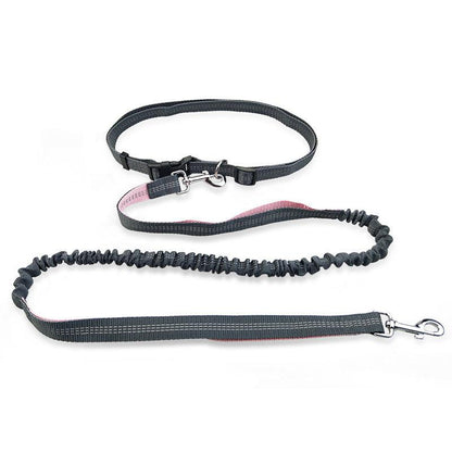 Ultimate Freedom Dog Leash: The Perfect Companion For Active Dogs-2