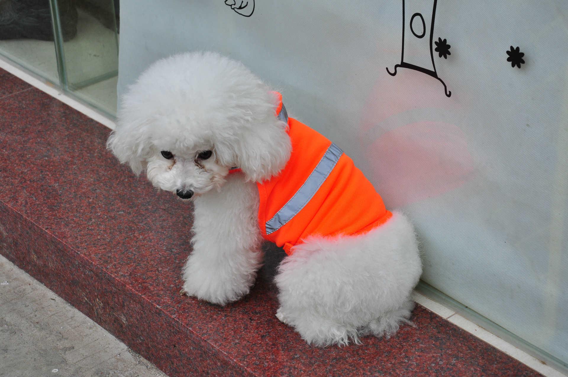 Reflective Safety Vest For Dogs - Keep Your Pet Visible And Safe In Summer-2
