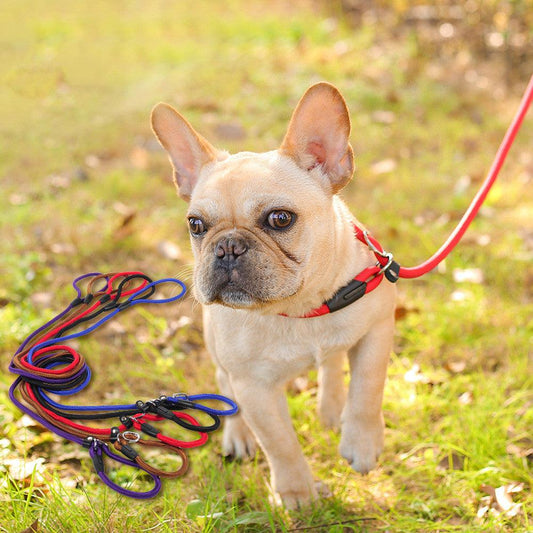 Ultimate Control Dog Leash-0