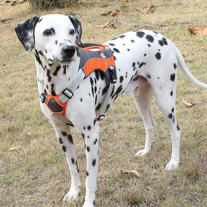 Reflective Chest Strap Dog Leash Set With Towing Rope-4
