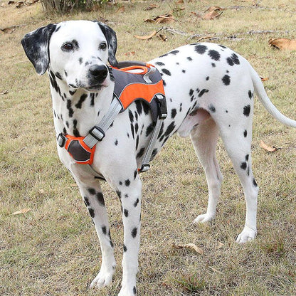 Reflective Chest Strap Dog Leash Set With Towing Rope-4
