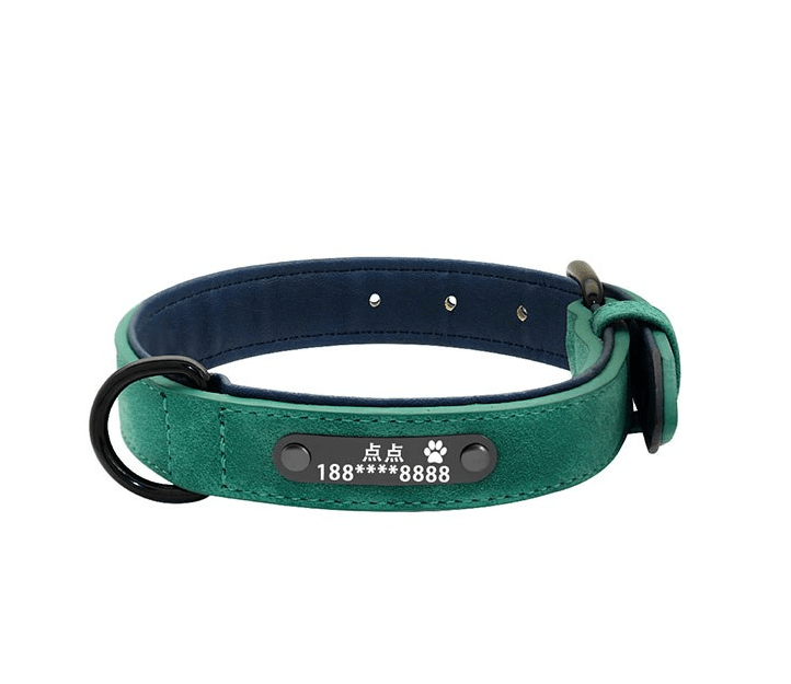 Personalized Pet Identity Card - Stylish And Durable Dog Tag-6