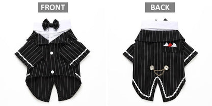 English Bulldog Pet Dog Suit-9