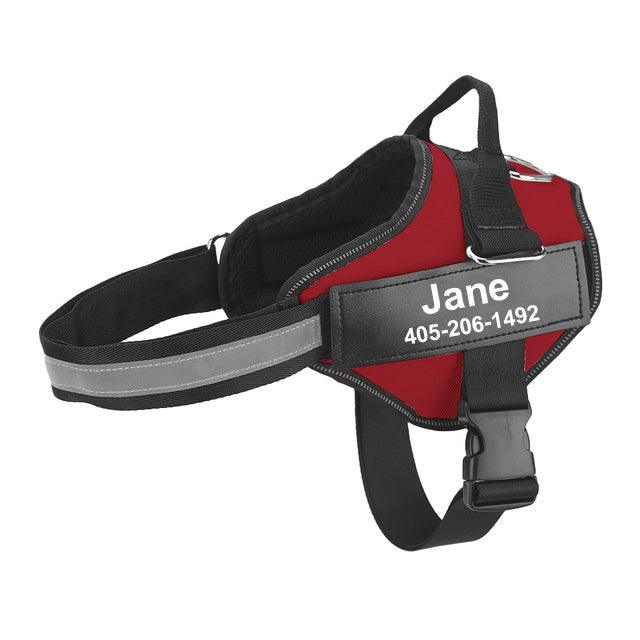 Multicolor Customizable Pet Leash: The Perfect Fashion Accessory For Your Furry Friend-2