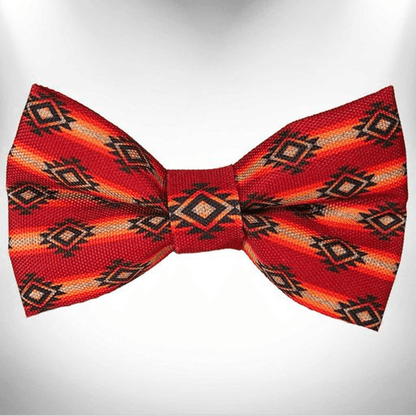 Southwestern Premise Dog Collar by Walk-e-Woo-5