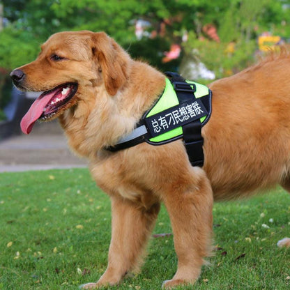 Ultimate Pet Adventure Chest Harness And Leash Set-2