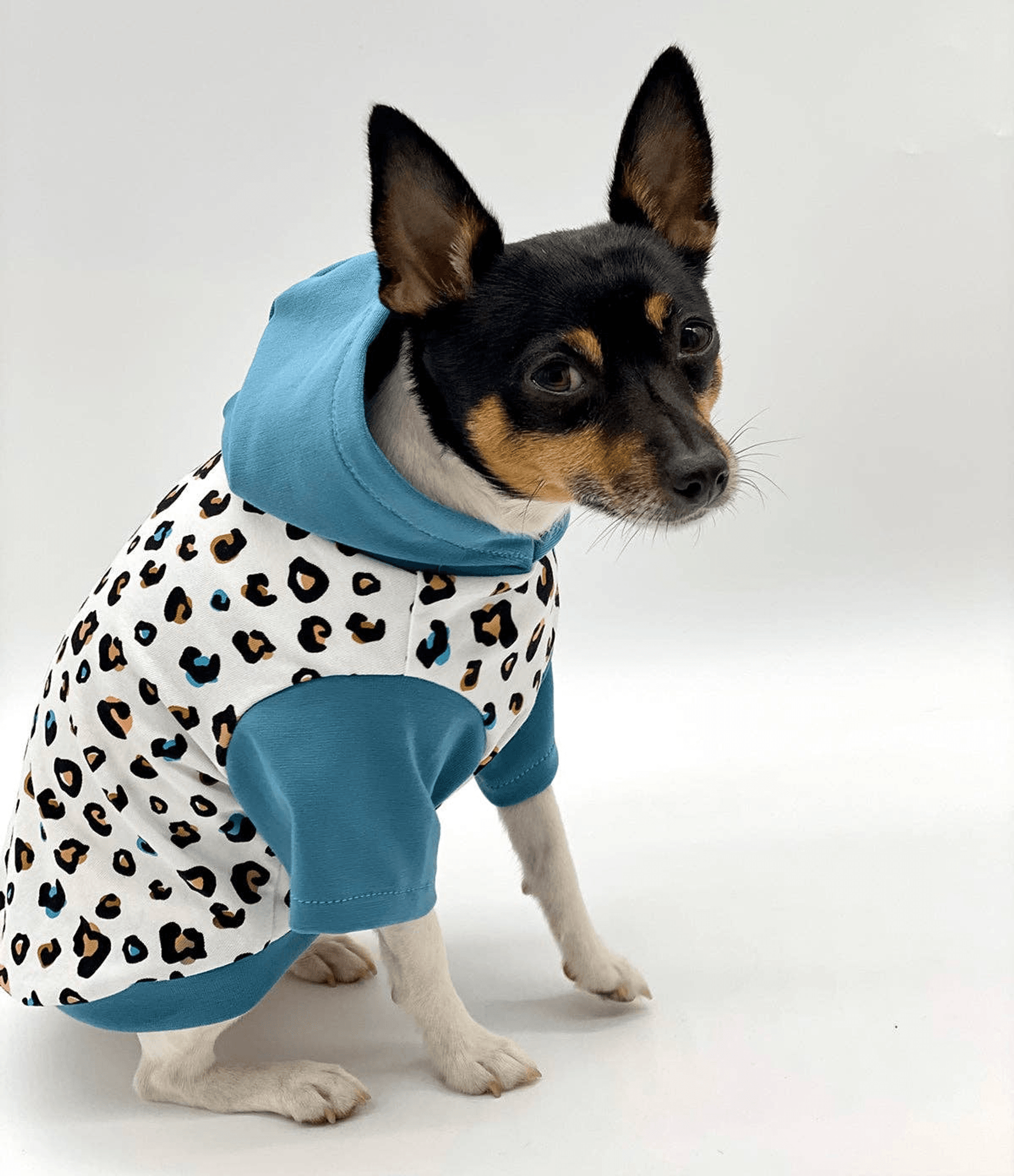 Limited Edition Leopard Print Hoodie for Dogs-4