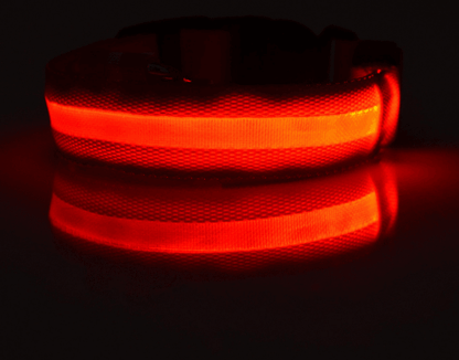 Luminous Glow-In-The-Dark Led Pet Collar: The Ultimate Night Safety Accessory For Dogs And Cats-3