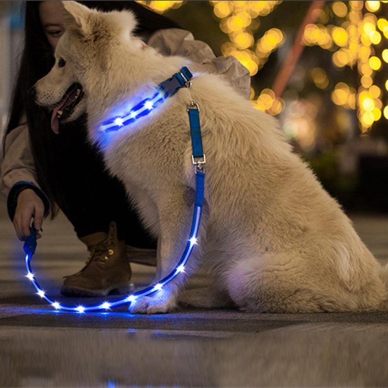 Luminous Glow-In-The-Dark Usb Charging Pet Leash-0