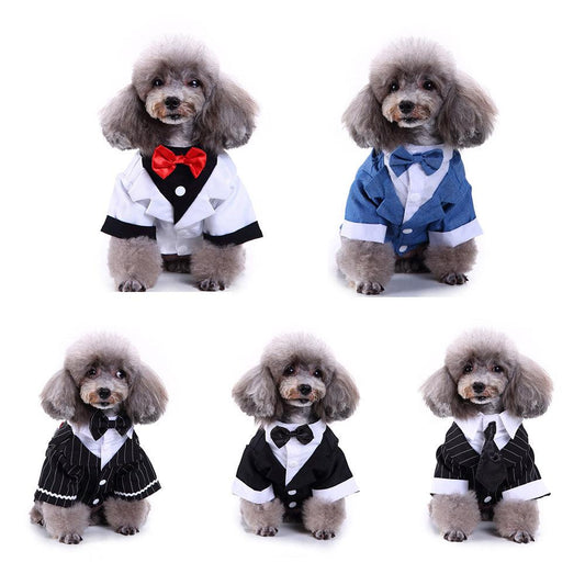 English Bulldog Pet Dog Suit-0