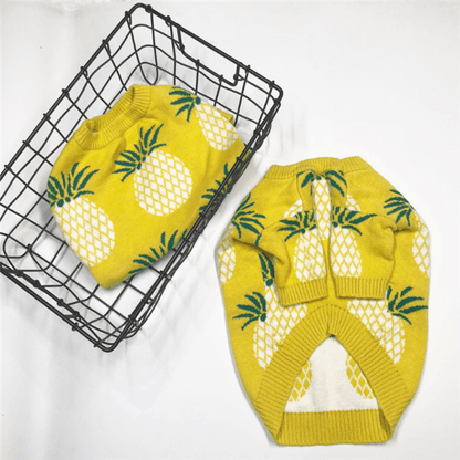 Tropical Delight Cotton Sweater-1