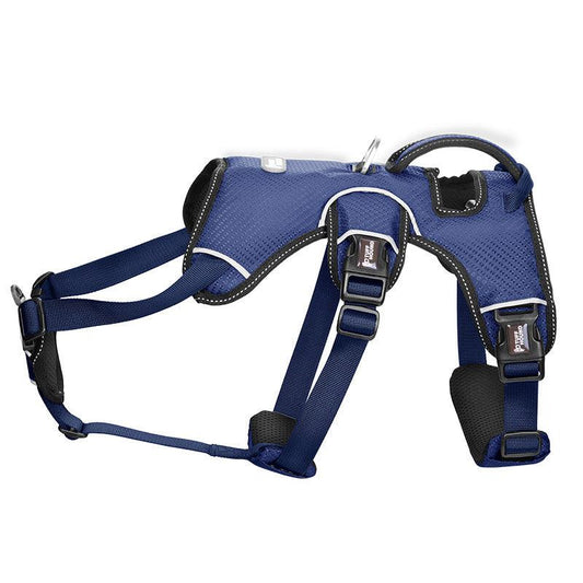 Stylish Polyester Dog Leash Collar - Perfect For Small Dogs!-0