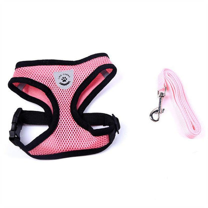 Pet Comfort Ride Leash And Seat Belt Combo-13