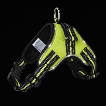 Luminous Canine Collar-5