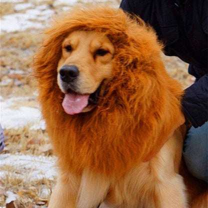 Regal King's Mane For Majestic Mutts-2