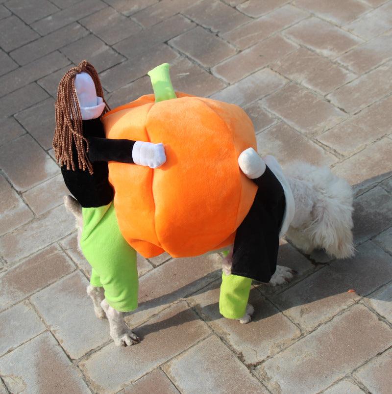 Spooky Pumpkin Pooch Costume-3
