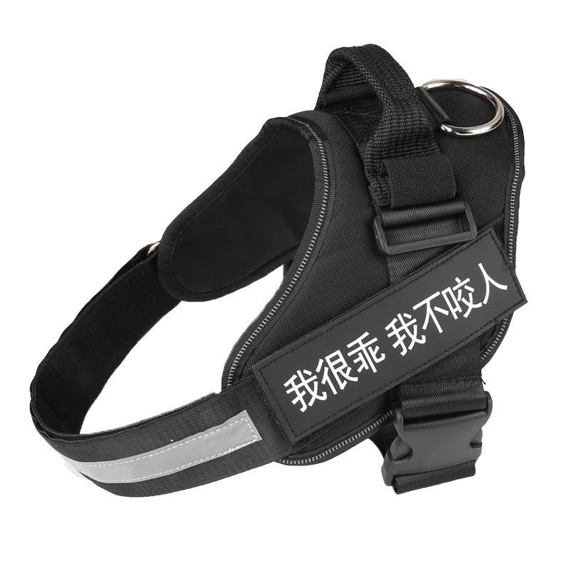 Ultimate Pet Adventure Set: Adjustable Chest Harness With Dog Leash-3