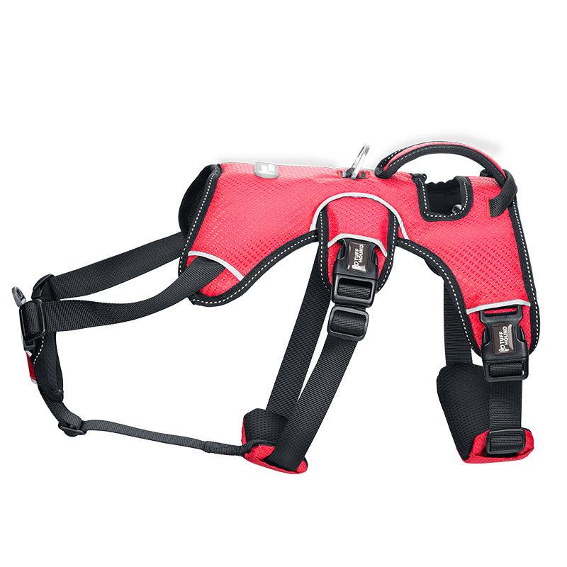 Stylish Polyester Dog Leash Collar - Perfect For Small Dogs!-5