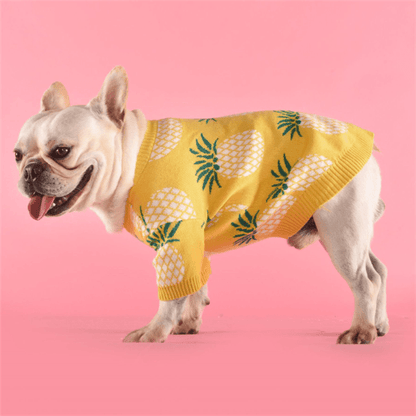Tropical Delight Cotton Sweater-0