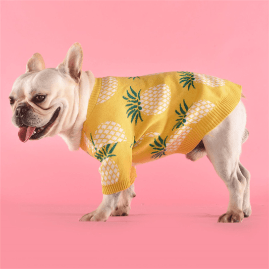 Tropical Delight Cotton Sweater-0