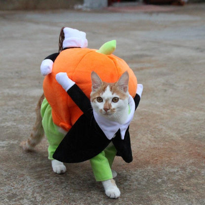 Spooky Pumpkin Pooch Costume-1